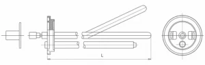 picture1ss